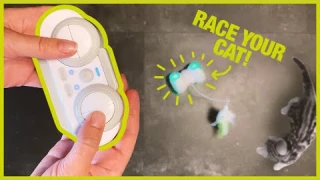 EBI remote control cat chaser electronic cat toy