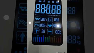 Lepulse Smart Body Fat Scale Review
