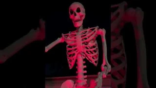 10ft skeleton from Lowe’s #halloween #decoration #skeleton #spooky #thehomedepot #lowes #shorts