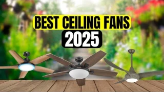 The 4 Best Ceiling Fans to Buy in 2025