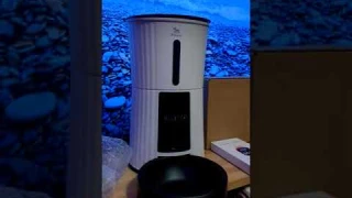 Petory Automatic Cat Feeders Wi-Fi - 4L Dry Food Dispenser for Cats and Dogs 10 Meals per Day