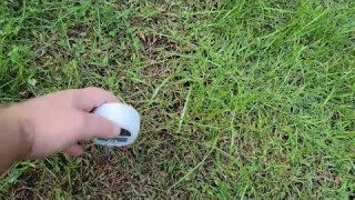 XLUX Soil Moisture Meter, Plant Water Monitor, Soil Hygrometer Sensor Review