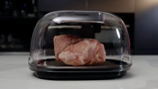 ICEFIRE: Redefined Quick Food Defrost - 8X Faster and Smart