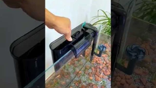 Hang on Back Filter for Aquarium | HOW TO GET CRYSTAL CLEAR AQUARIUM WATER | Aquarium Filter | #fish