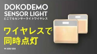 W500-505 どこでもワイヤレス