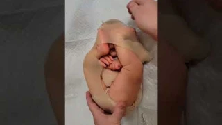 Womb Baby - How Babies Are Born
