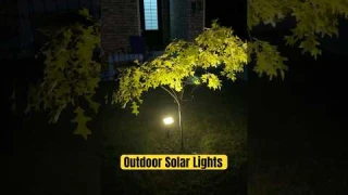 Solar Spot Lights Outdoor Waterproof | Adjustable Solar Powered Lights for Garden & Yard!