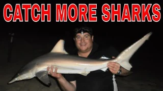 BEST beach shark fishing rig