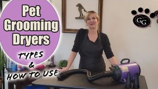 Pet Grooming Dryers - Types and How to use PLUS Field Test of different dryers - Gina's Grooming