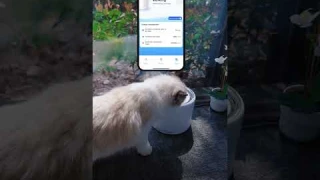 EverSweet 3 Pro Pet Water Fountain