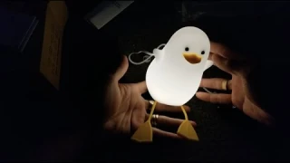 New SEAGULL Silicone Night Light by PETSDAILYMART