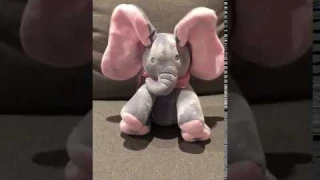 Peek-a-boo elephant review