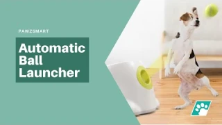 Automatic Ball Launcher for Dogs by PawzSmart