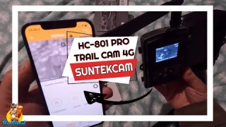 Caméra chasse 4G SUNTEKCAM HC-801pro : configuration et menu