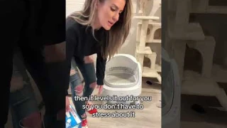 Real results! 🐱 Would your cat love this litter box? Let us know! 👇" #petpivot #cat#autoscooper11