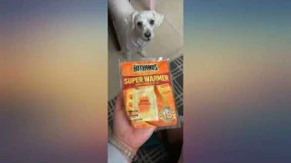 HotHands Body & Hand Super Warmers - Long Lasting Safe Natural Odorless Air review