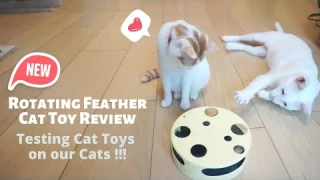 Rotating Feather Cat Toy Review – Keep Cats in 1 spot!
