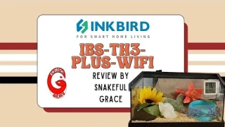 Is Your Hognose Dehydrated?! +  INKBIRD IBS- IBS-TH3-PLUS-WIFI Review