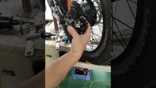 remove the rear wheel