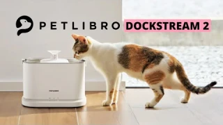 Petlibro Dockstream 2 Review - Smart Water Fountain for Cats and Dogs