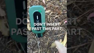 Smart Garden Tips for the Fall - Plantron Afra by Linkstyle #shorts