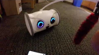 SKYMEE Owl Robot Mobile Full HD Pet Camera Review, Is controllable when outside of the house
