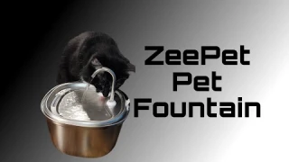 Review: ZeePet Pet Water Fountain