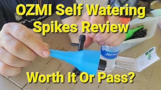 OZMI Plant Self Watering Spikes Review