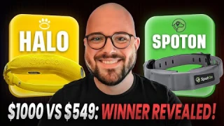 SpotOn vs Halo Collar 4 — Which GPS Fence Is Actually Worth It?