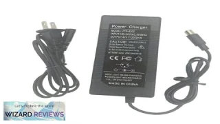 42V 2A Electric Drive Smart Balance Wheel Charger Self Balancing Scooter Hover Review