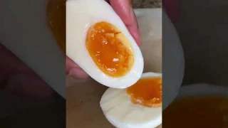 Are EGG COOKERS worth it?