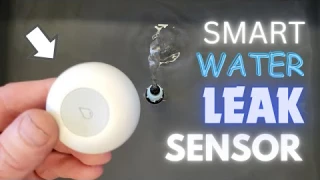 Tuya Zigbee Water Leak Detector Sensor
