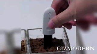 Soil Moisture Meter, with Real-time Monitoring & One-button Control, for Potted Plant, Flowers &More