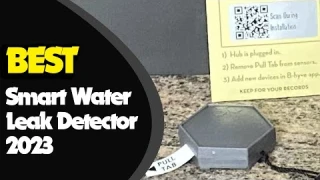 The Best Water Leak Detectors of 2023