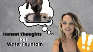 Automatic Cat Water Fountain Review: 84oz Capacity Explained!