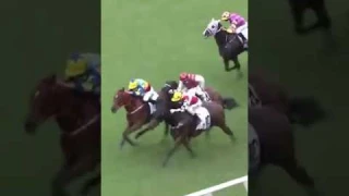 OH MY 🤯 Have you ever seen a photo finish between FOUR horses!? Who won? 👀 🎥 HKJC_Racing
