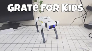 $80 Robot Dog from TEMU… Is It Better Than a Real Pet?!