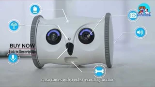 Pet Intelligent companion Owl Robot review । Pets Networks