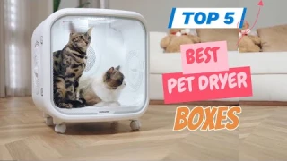 Top 5 Best Premium Pet Dryer Boxes for 2025
