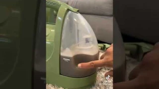 Bissell little green