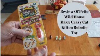 Review Of Petio Wild Mouse Maxx Crazy Cat Kitten Robotic Toy & Cheap eBay Knockoff Nano Hexbug Mice