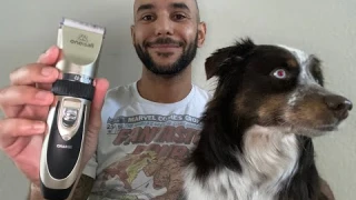 Oneisall Dog Shaver Clippers Review