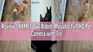 Review SKYMEE Owl Robot: Movable Full HD Pet Camera with Treat Dispenser, Interactive Toy for Dogs a