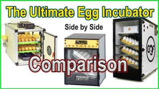 The Ultimate Egg Incubator Comparison - Hatching Time, GQF, Brinsea