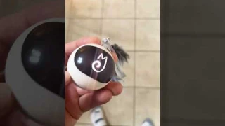 Penny Loves this fun Interactive Cat Toy Ball by Migipaws