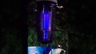 stinger bug zapper (best ever made)