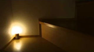 アイリスオーヤマ センサーライト