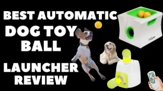 Best Automatic Dog Toy Ball Launcher in 2025 | Buying Guides