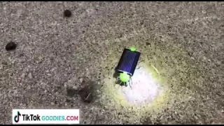 TIKTOK Solar Powered Grasshopper Educational Robot Toy