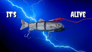 Robotic Fishing Lure Review (HUGE fish at the End)